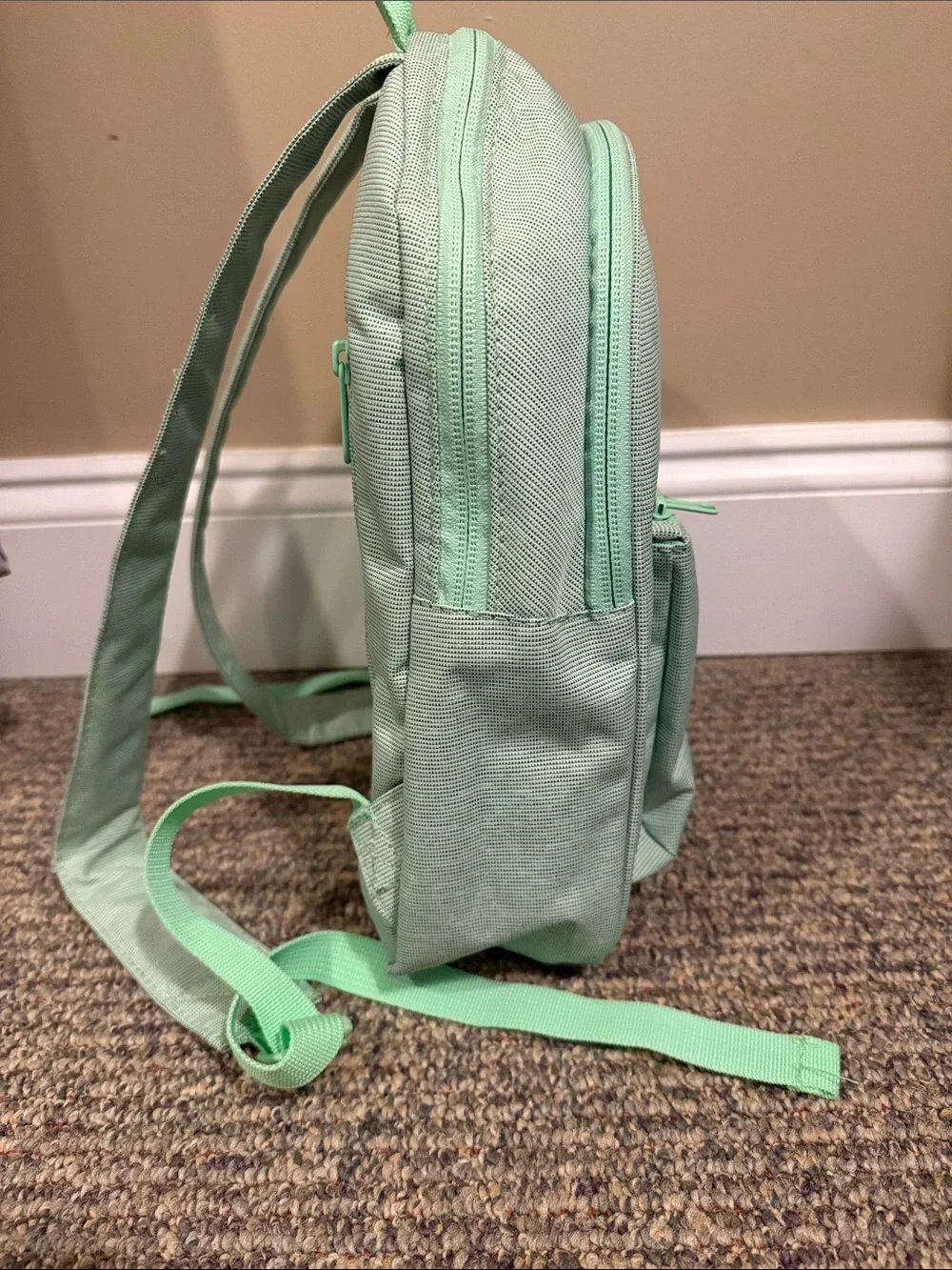 Dakine Mini Backpack in Mint